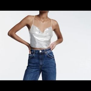 Zara Shimmery Top